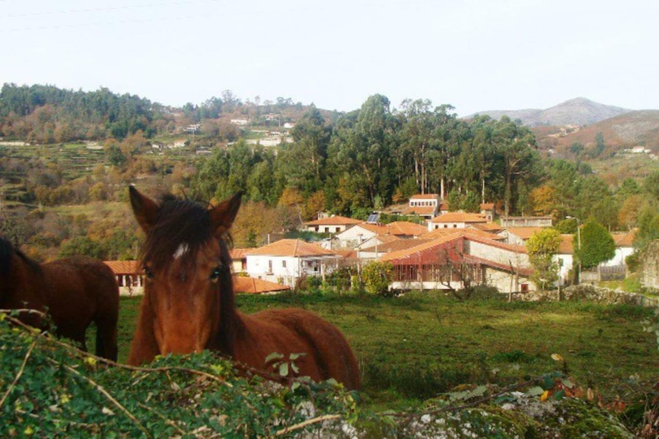Casa De Sa - A Natureza No Geres Terras de Bouro Zewnętrze zdjęcie